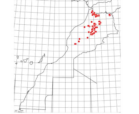 Carte-rhamni