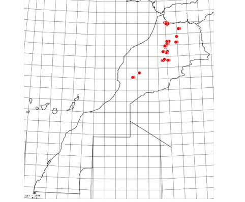 Carte-crataegi