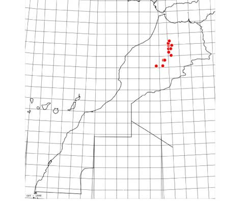 Carte-monticola-2005