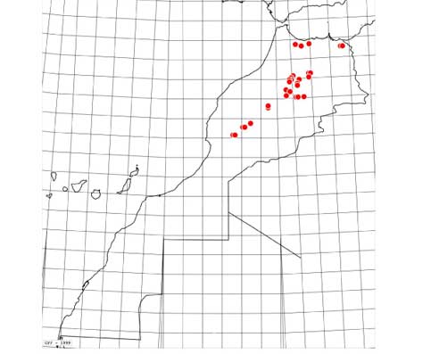 Carte-quercus-2005