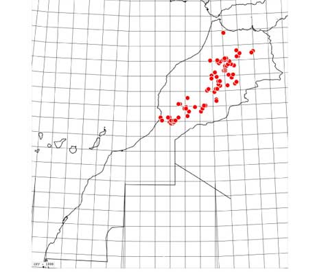 Carte-abencerragus