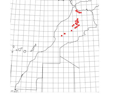 Carte-polychloros