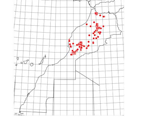 Carte-phoebe