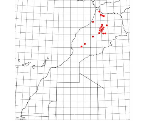 Carte-statilinus