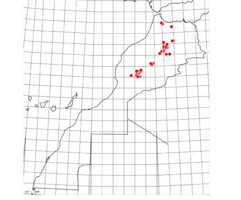 Carte-maroccana