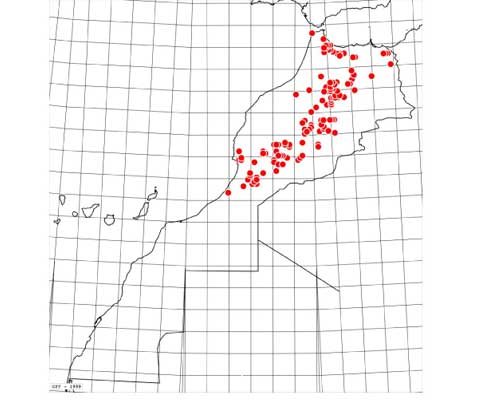 Carte-megera